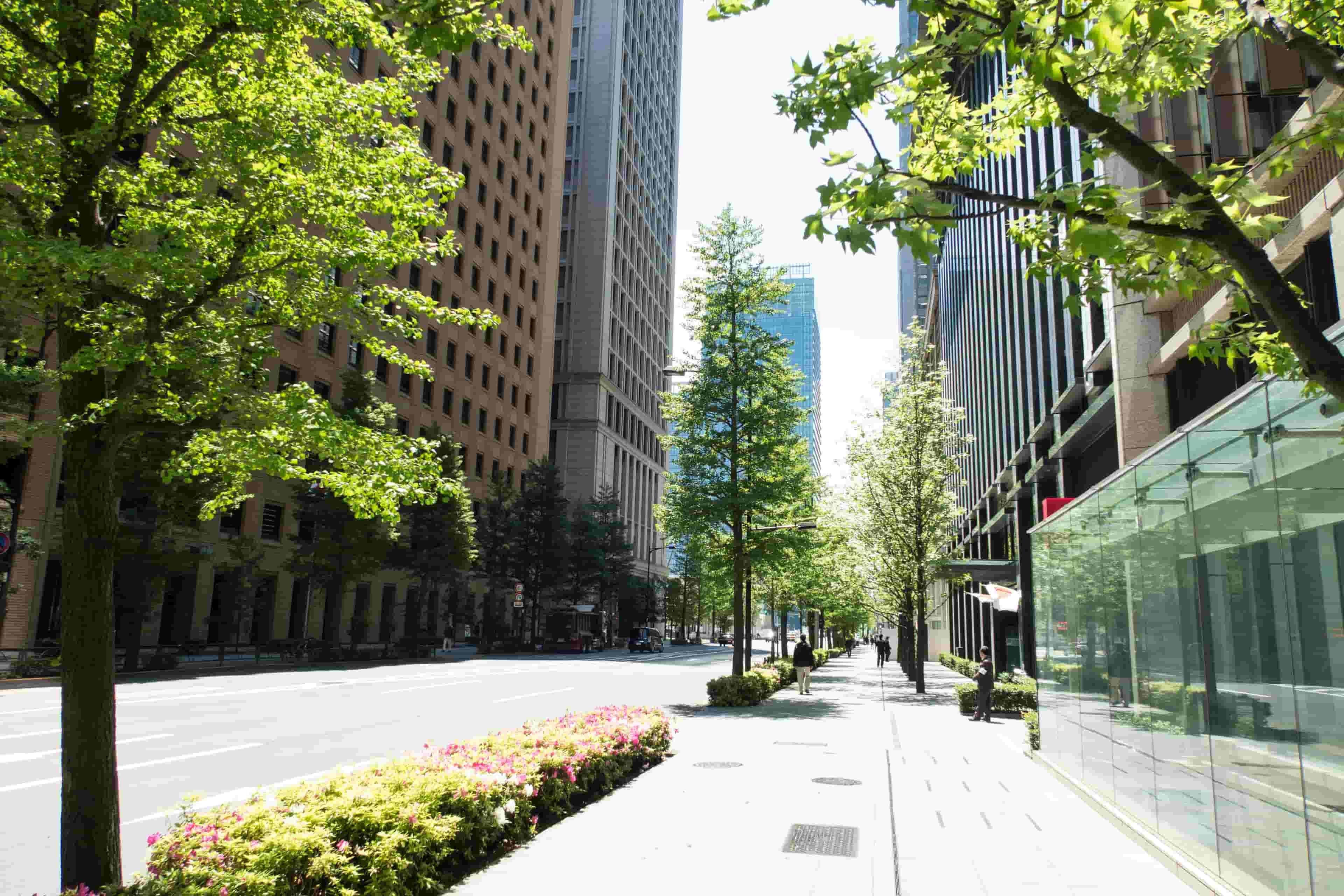 高級マンションに住みたい!けど価格はどのくらい?