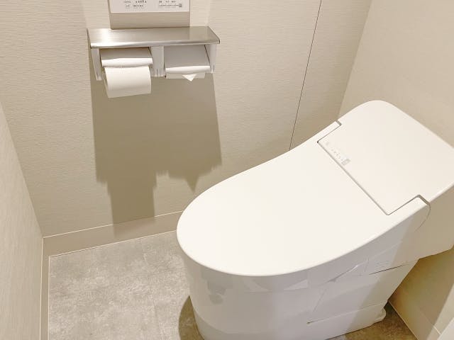 /articles/information/apartment-toilet-odor