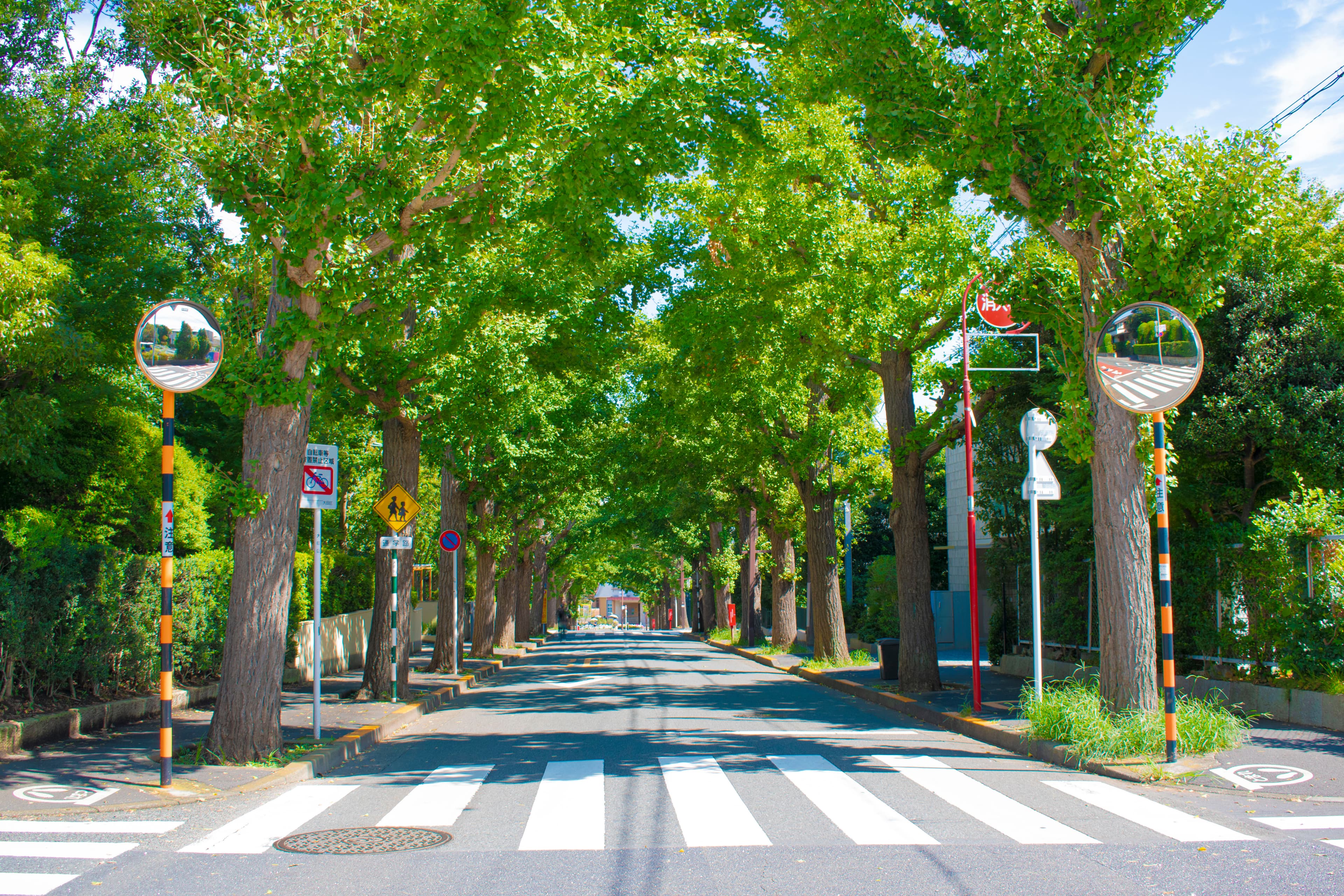 田園調布