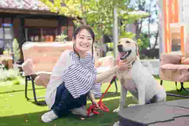 大型犬可の賃貸はどう見つける?おすすめ物件サイトと引っ越し費用節約方法
