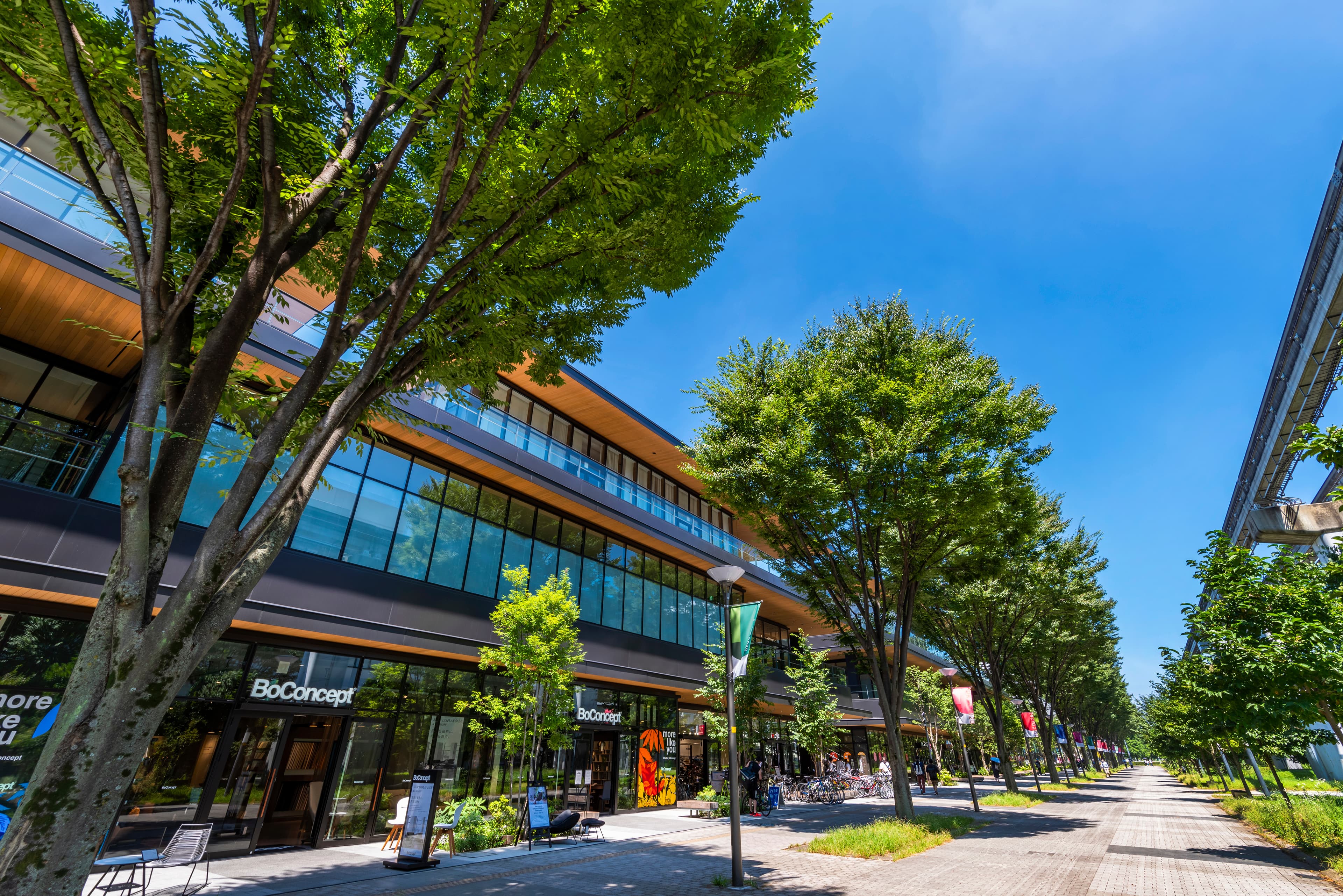 AdobeStock 376627007 Editorial Use Only